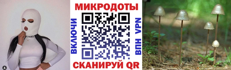Галлюциногенные грибы GOLDEN TEACHER Шиханы