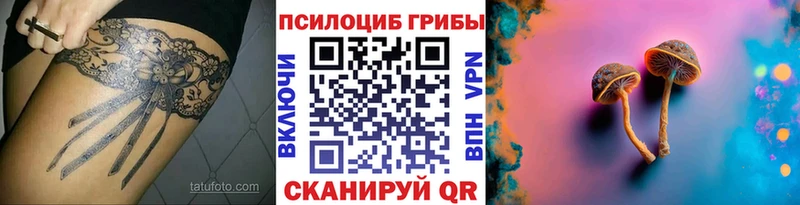 ссылка на мегу ссылки Шиханы Галлюциногенные грибы мицелий